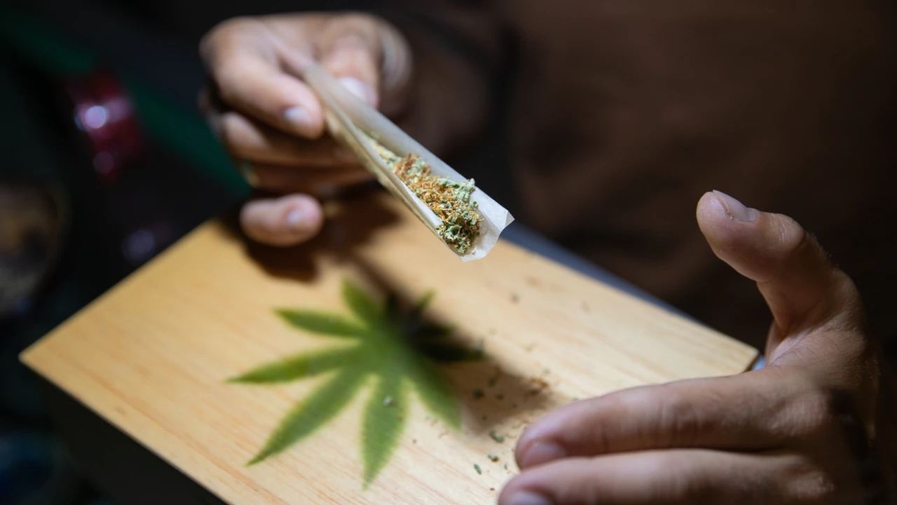 Person ruller en cannabis joint